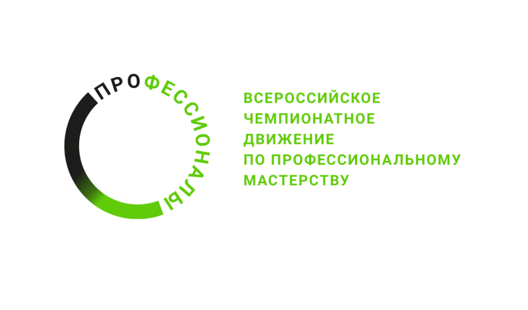 Финал Чемпионата по профессиональному мастерству «Профессионалы».